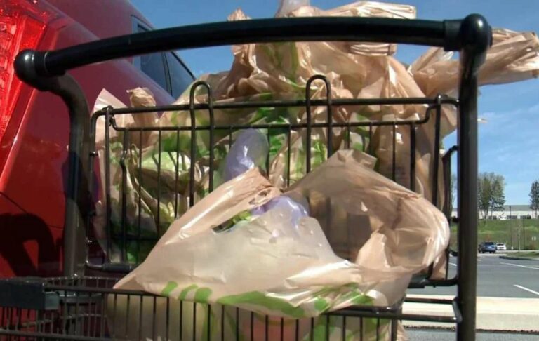 No More Using Plastic Bags in This Lancaster County Township